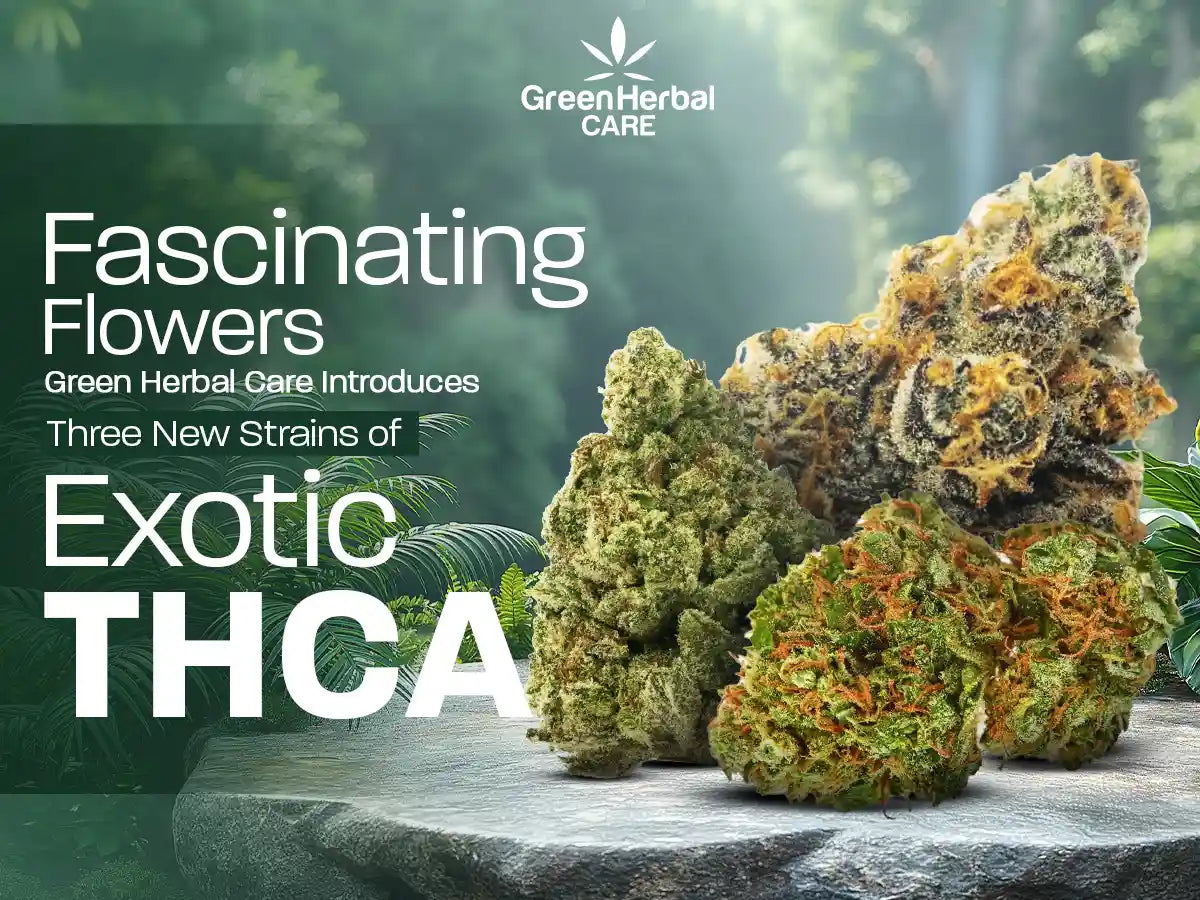 Fascinating Flowers - Green Herbal Care Introduces 3 New Strains of Exotic THCA