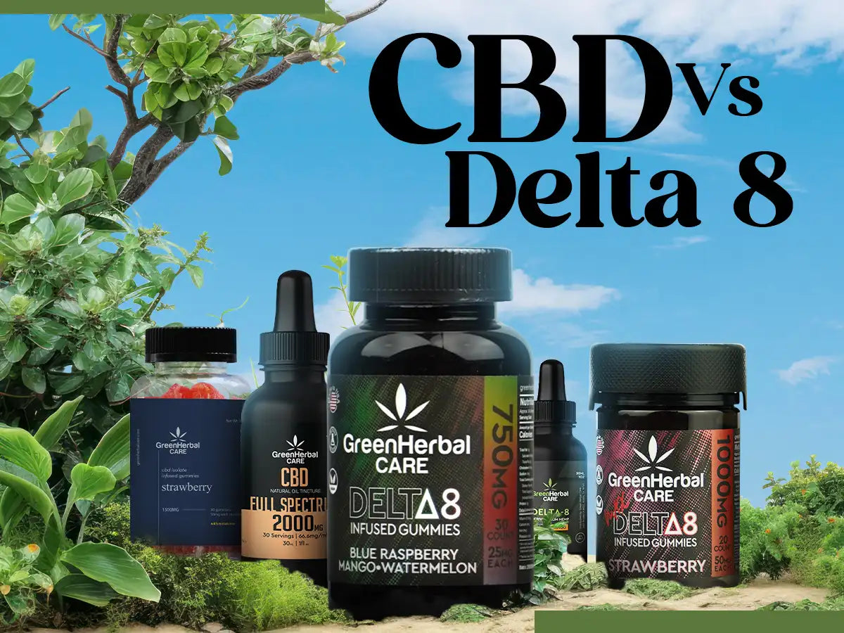 CBD Vs Delta 8: Everything You Need to Know Before You Decide