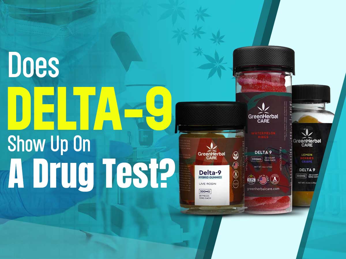 Does Delta-9 Show Up On A Drug Test? What You Need to Know