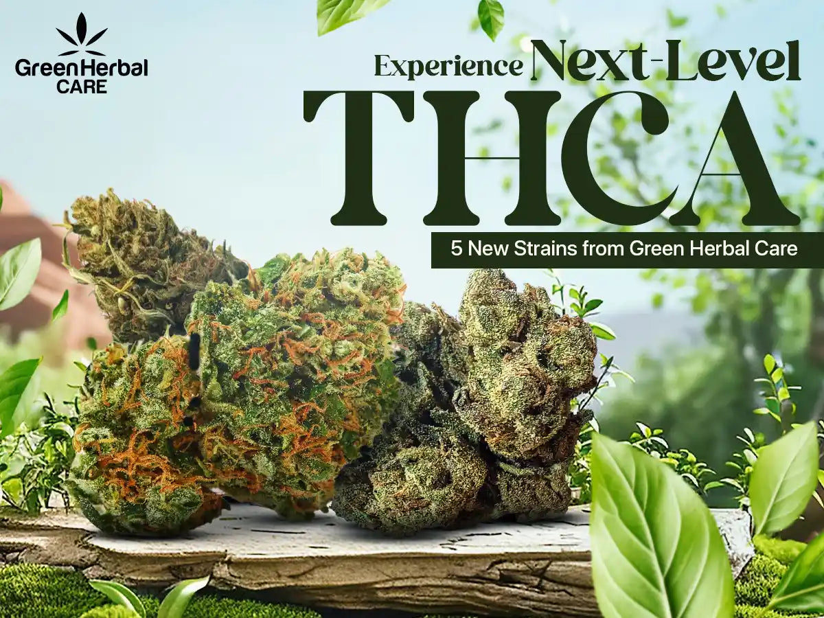 Green Herbal Care Launches 5 New THCA Flower Strains for Premium and Outdoor Lovers