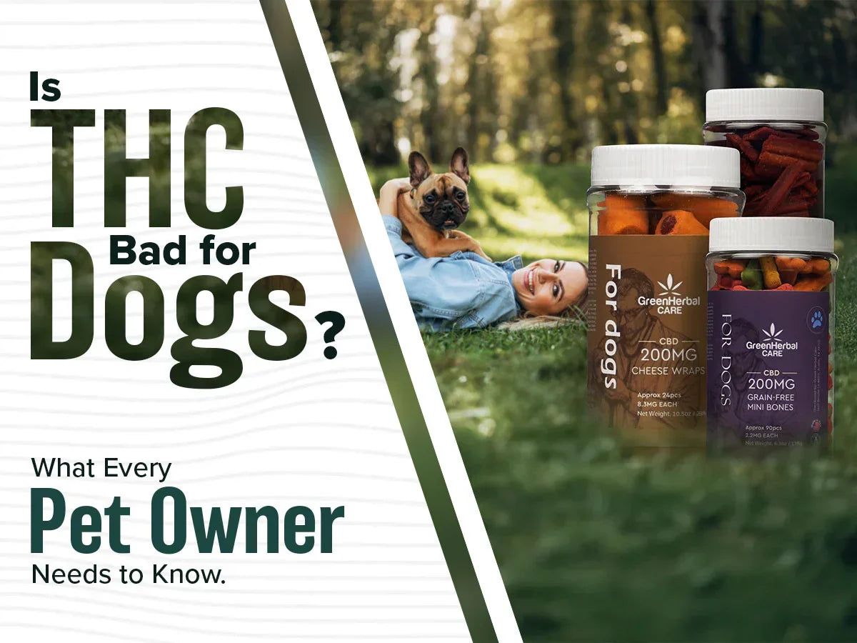 is thc bad for dogs