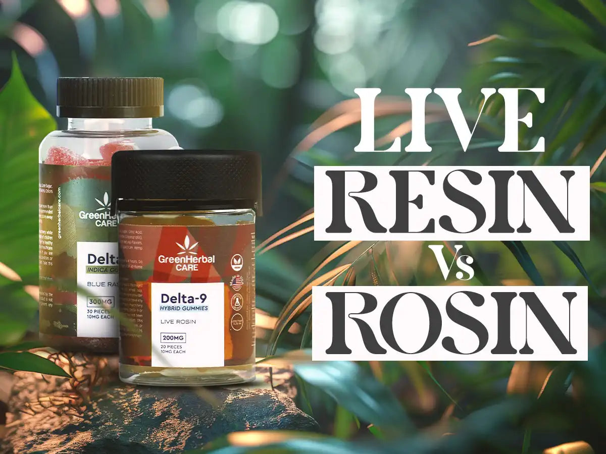 live resin vs rosin