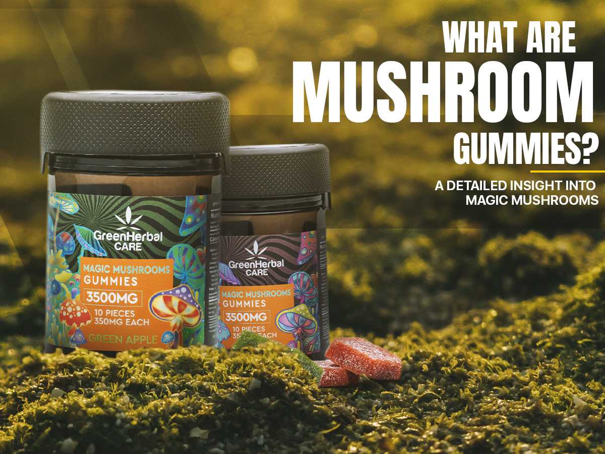 What Are Magic Mushroom Gummies? Discover The Benefits Now!