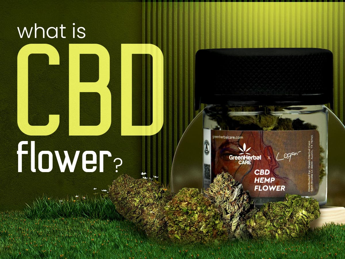 What is CBD Flower? Your Ultimate Simple Guide to Know Everything