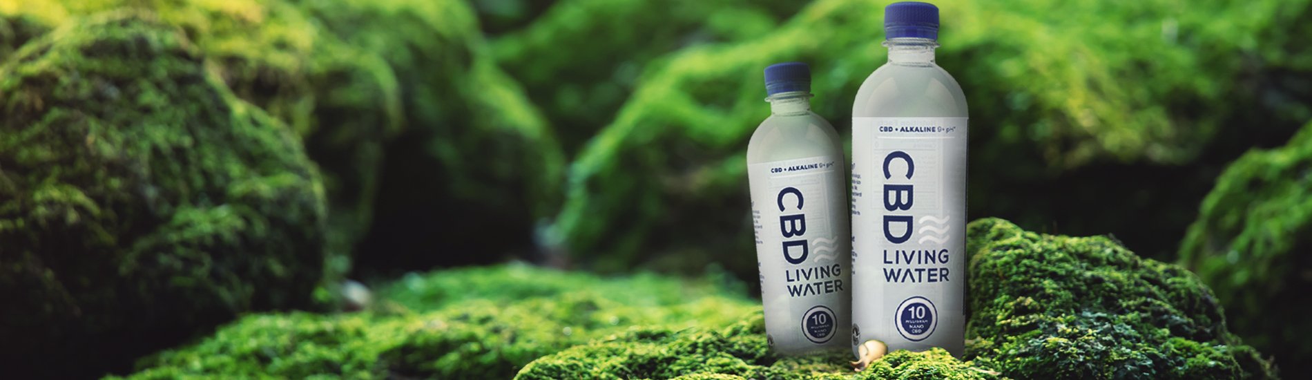 CBD Water