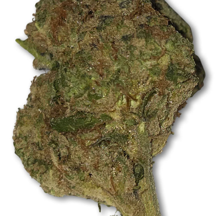 THCA Premium Flower - Animal Mint - Hybrid