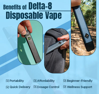 benefits of delta-8 disposable vape