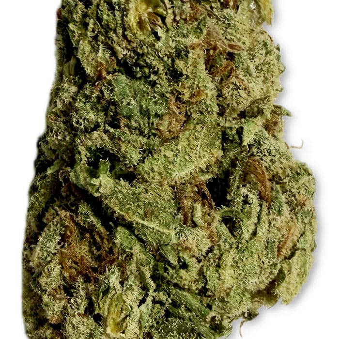 THCA Premium Flower - Blue Magic - Sativa