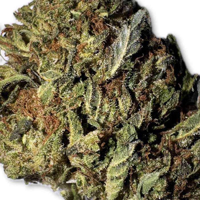 CBD Bubba Kush Flower Indica Strain Zoomed