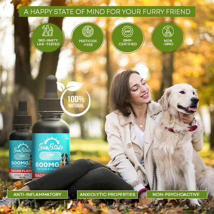 CBD Oil for Pets Lifestyle Img