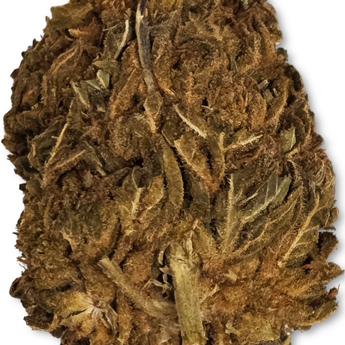 CBD - Cake Berry