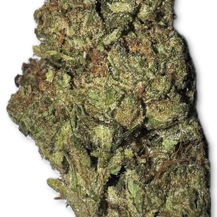 Creme Brulee Indoor Premium THC Flower Zoomed