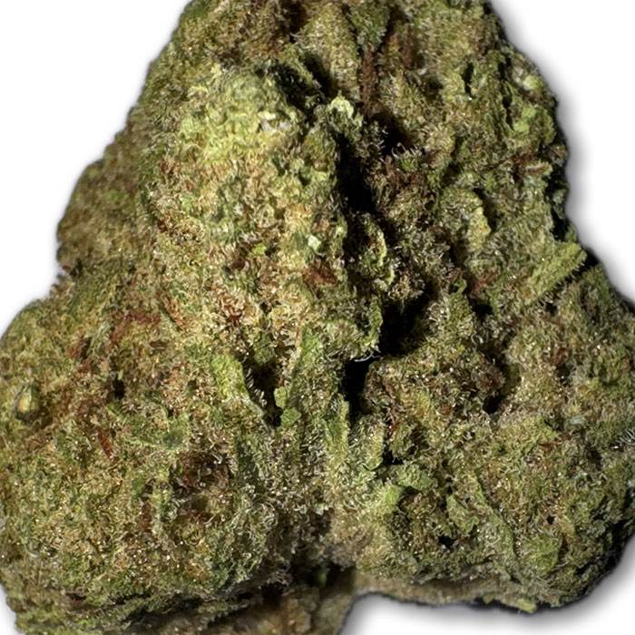 hawaiian haze strain thca flower