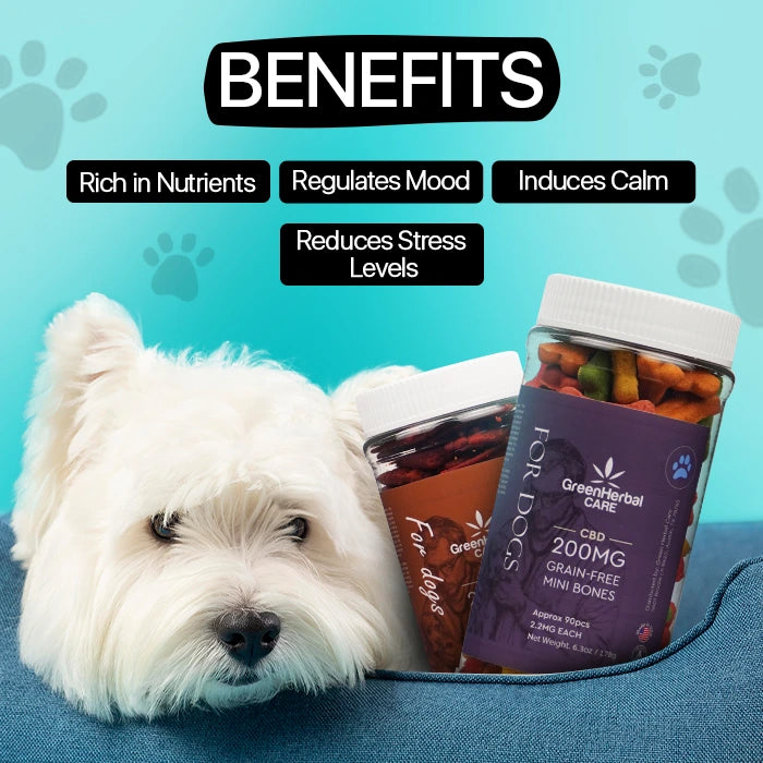 GHC CBD Dog Treats 200Mg Benefits Pic