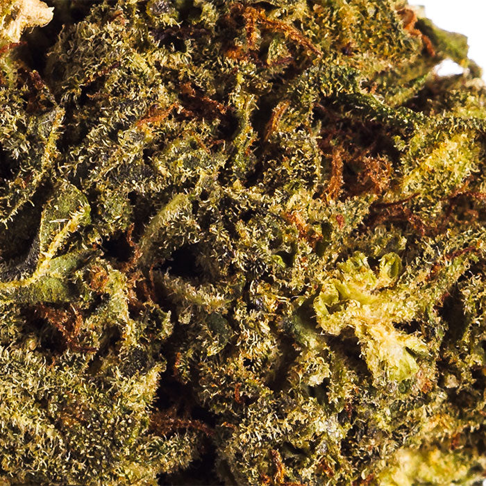 Georgia Pie Macro THCA Flower