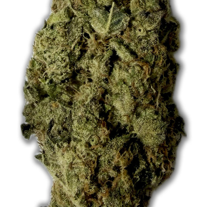 THCA Exotic Flower - Governmint Oasis - Hybrid