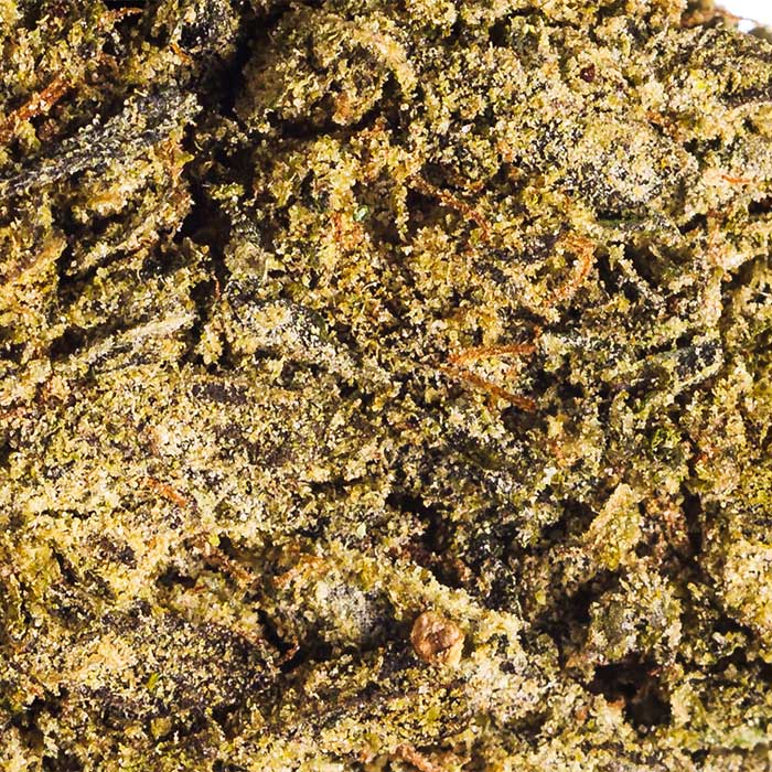 Gush Mint Macro THCA Flower