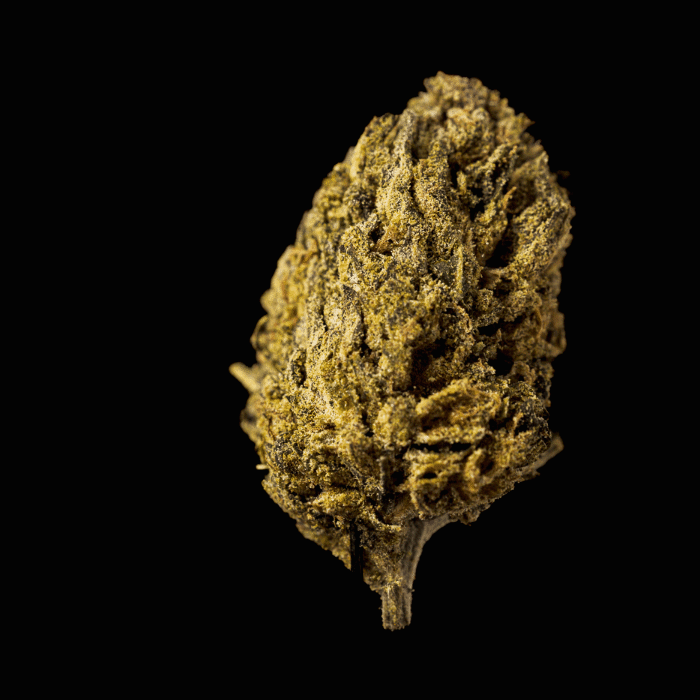 Gush Mint Turnaround THCA Flower