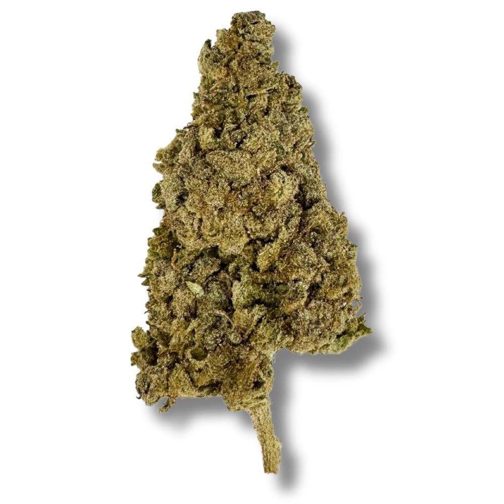 THCA Jamaicanlion Flower
