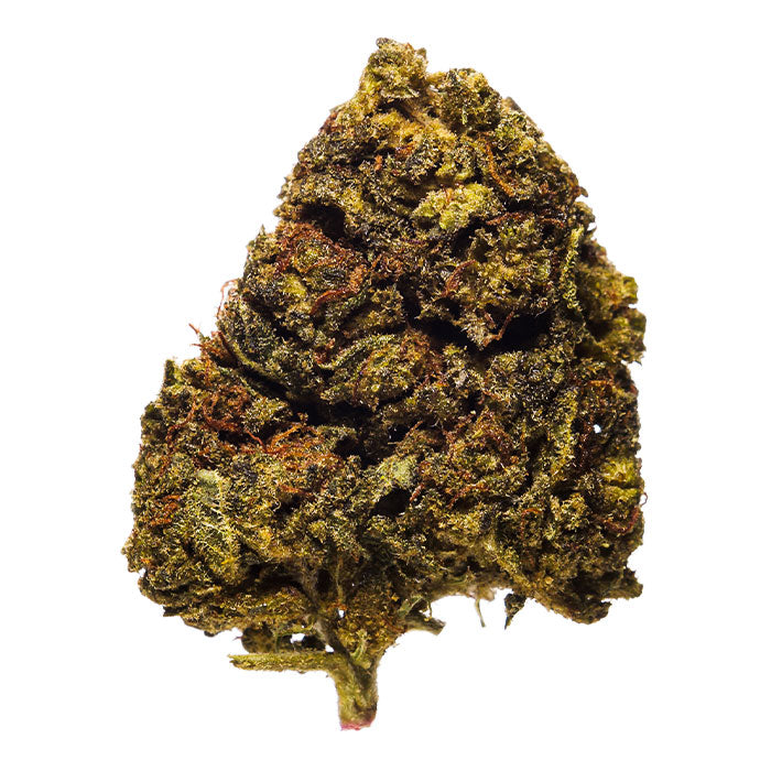 Buy Jamaican Lion THCA Hemp Flower Strain Online