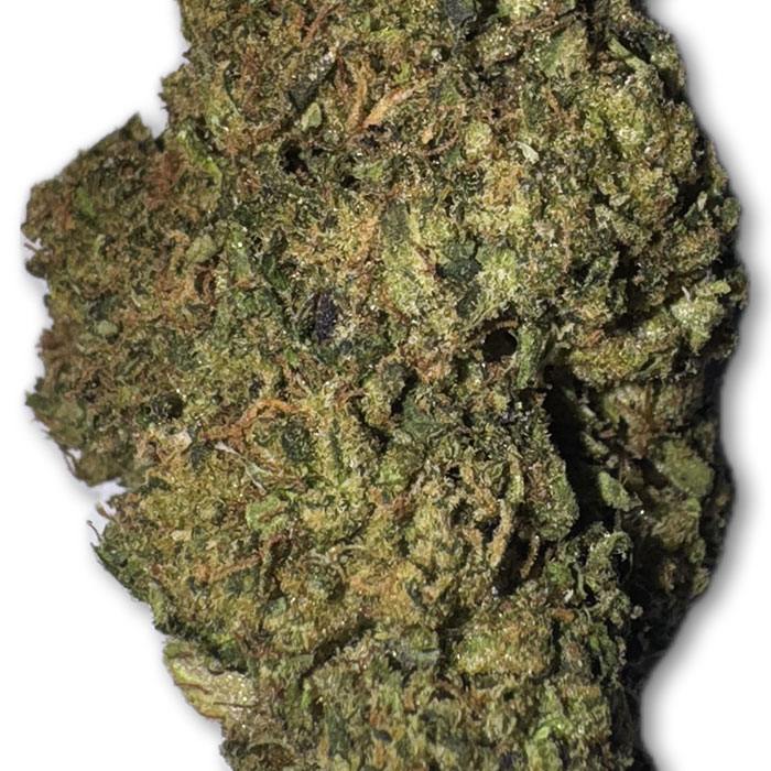 Pina Colada Indoor Premium THC Flower Zoomed