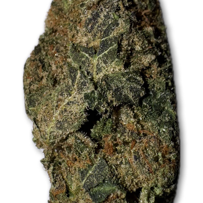 ak 47 weed strain