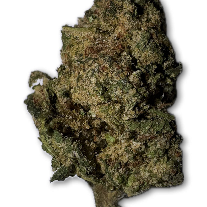 Archive Runtz Strain