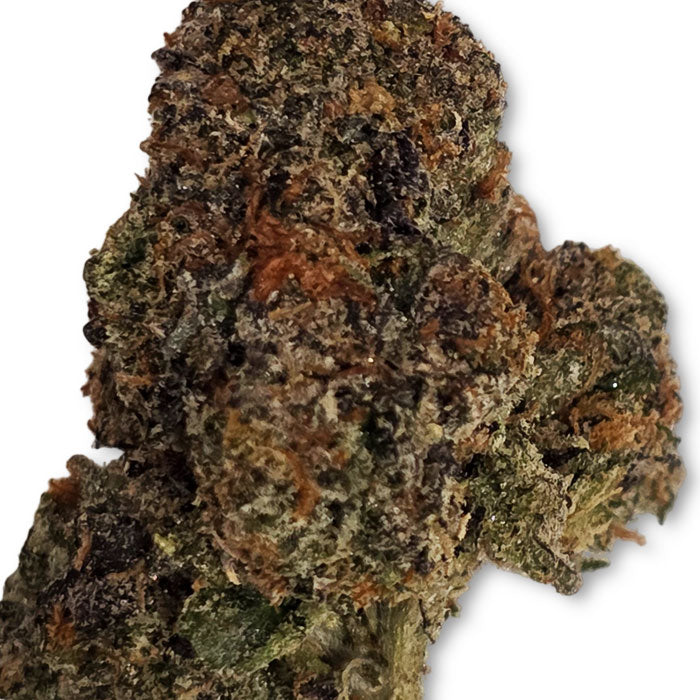 THCA Premium Flower - Blue Rhino - Indica