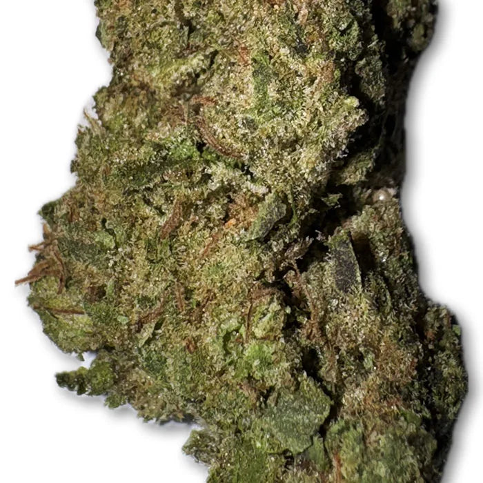 Prohibition Glue Weed Strain
