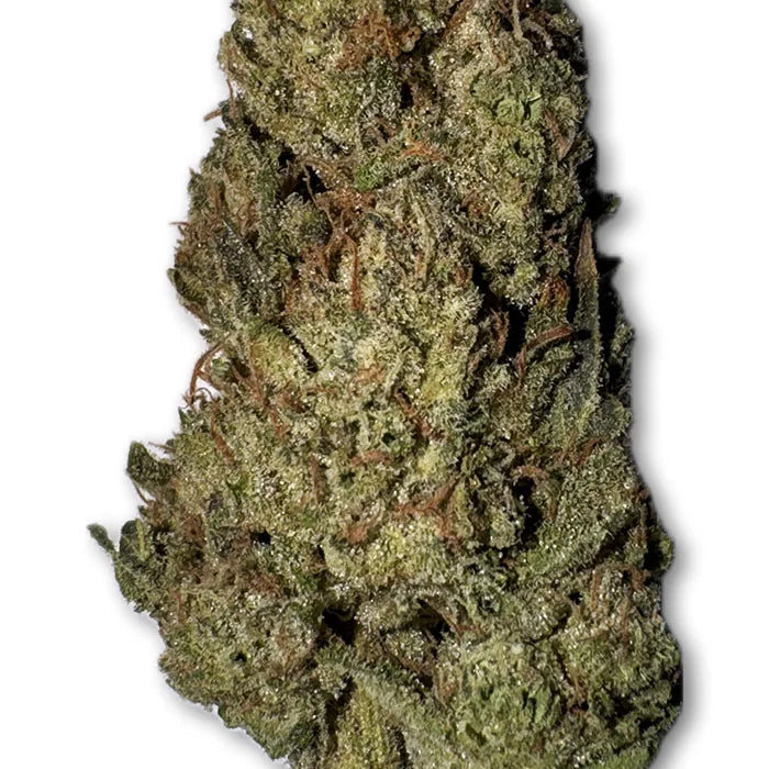 Log Cabin Strain