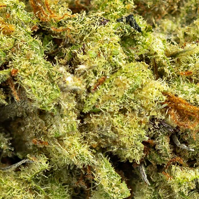THCA Outdoor Flower - Punch Breath - Indica