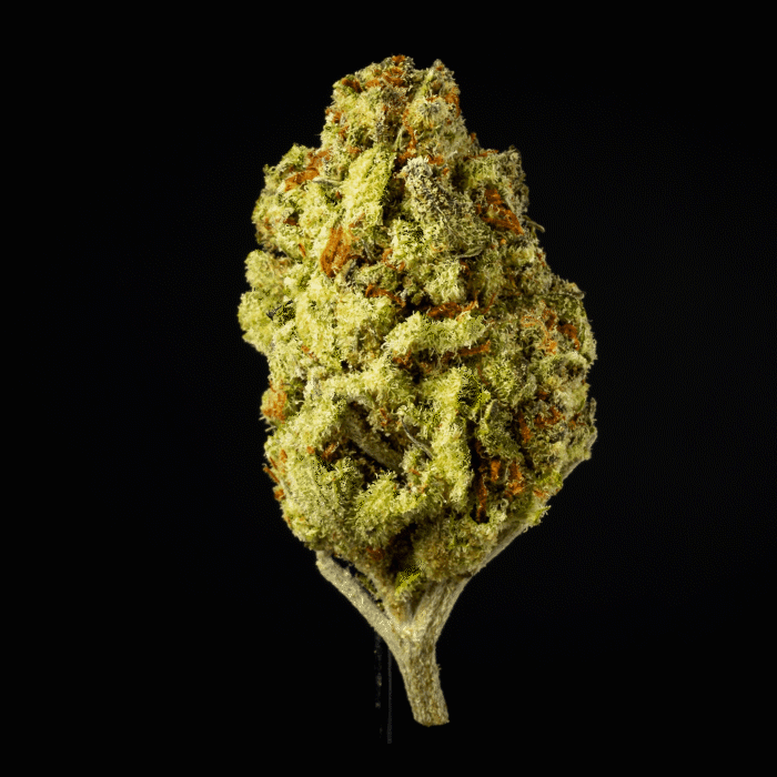 THCA Outdoor Flower - Punch Breath - Indica