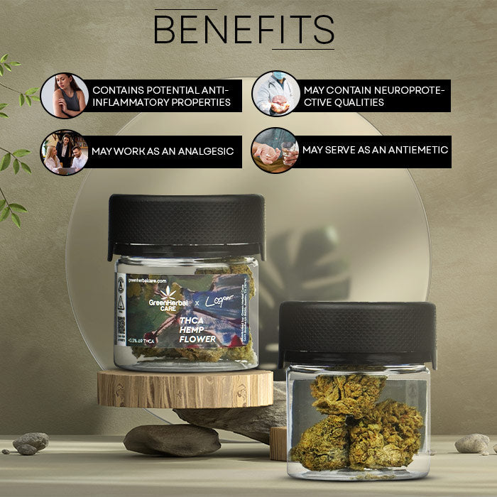 THCA Jamican Lion Hemp Flower Benefits