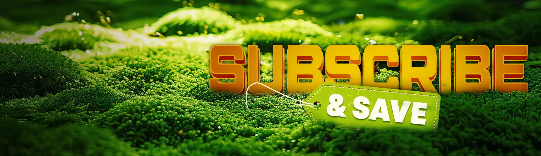 subscribe and save desktop banner