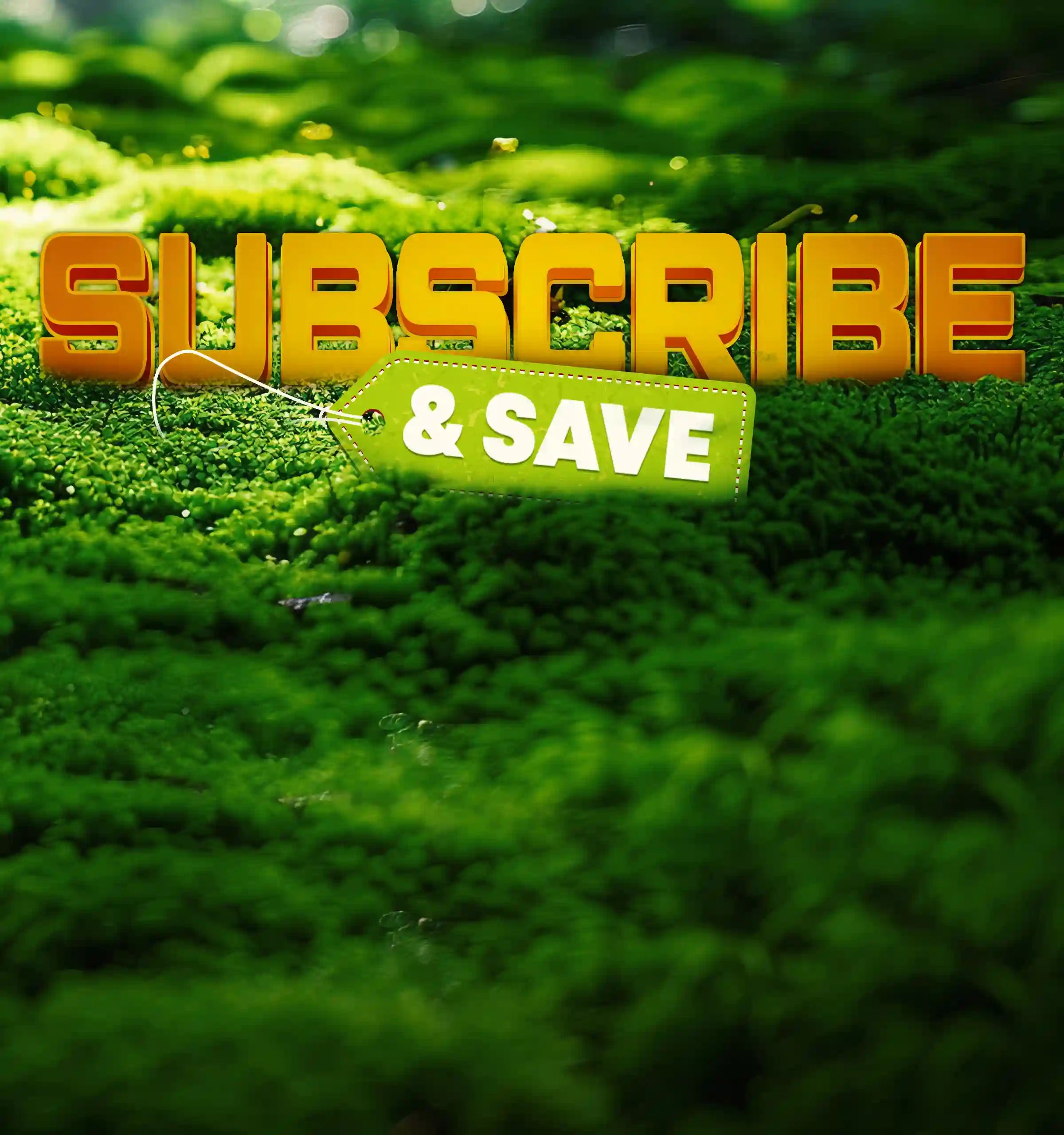 subscribe and save mobile banner