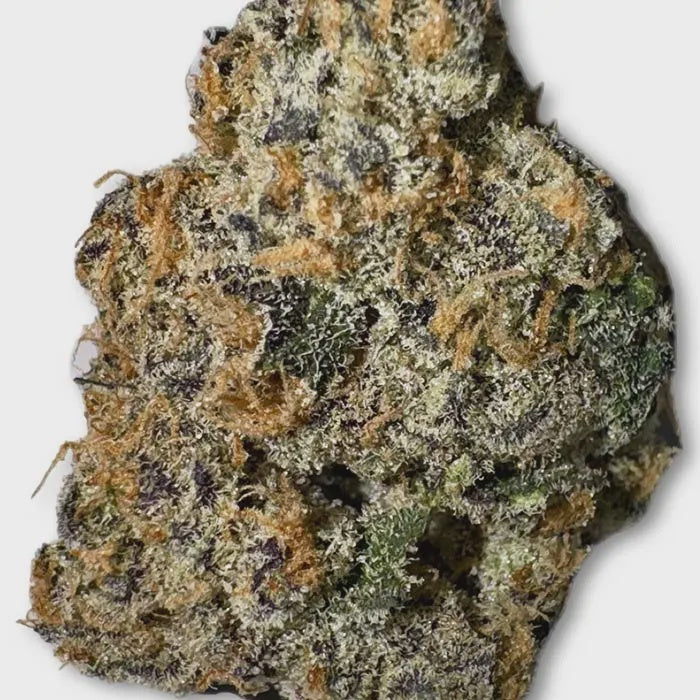 thca exotic flower uncle snoop sativa zoomed