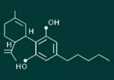 CBD