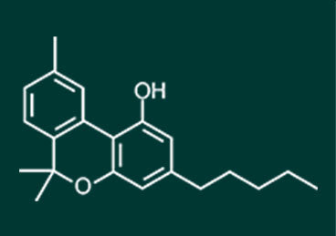 cbn