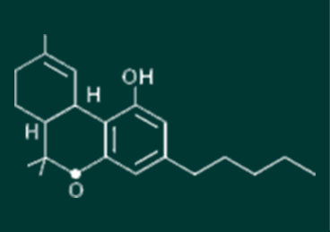 delta-9-thc