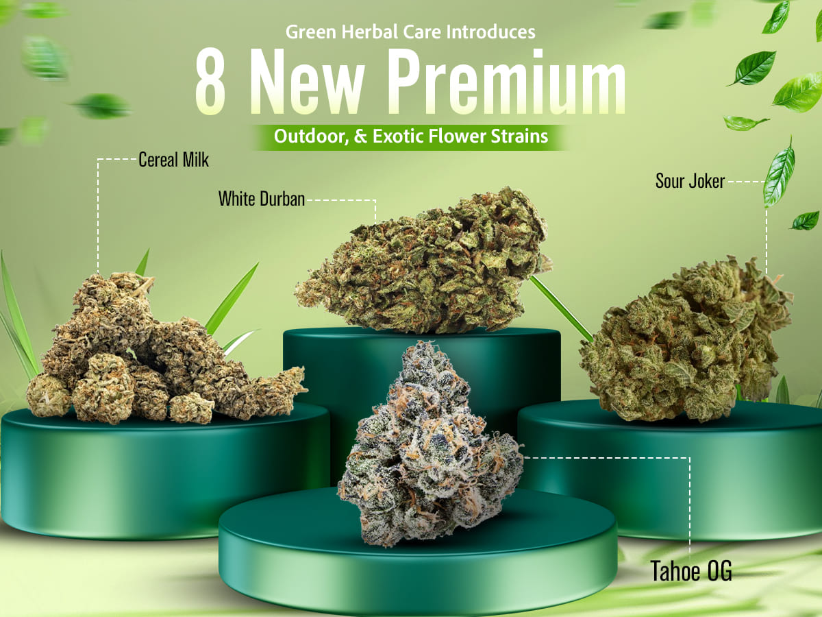 Green Herbal Care is Proud to Present Its 8 New THCA Collection