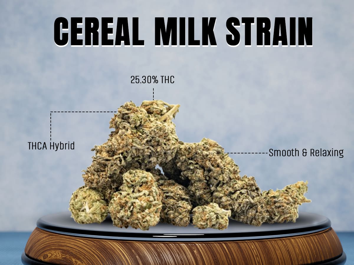 Cereal Milk Strain Review: Flavor, Effects, THC Level, and Price