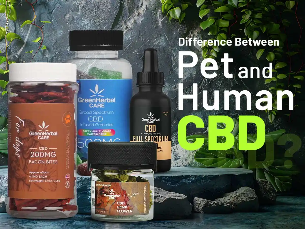 Difference Between Pet CBD and Human CBD