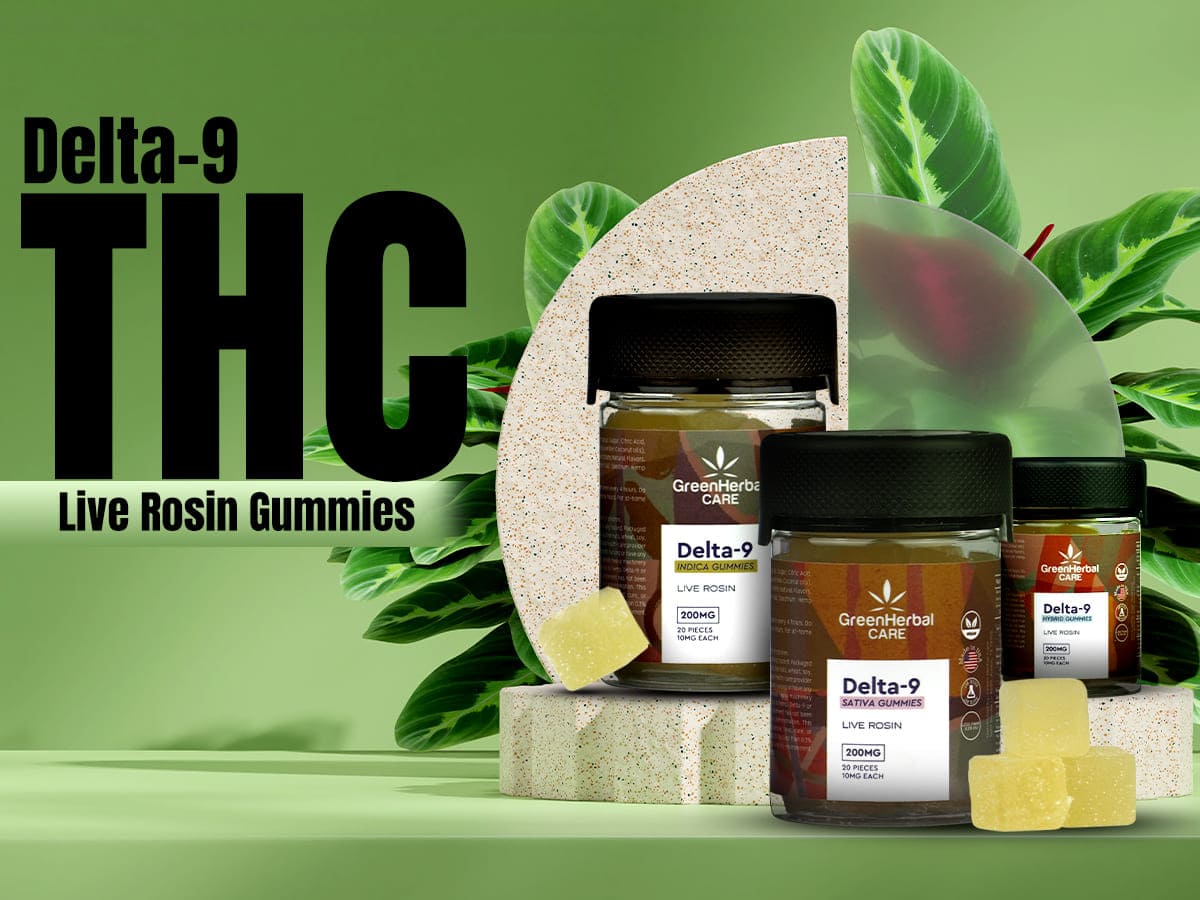 Customer Favorite: Delta 9 Live Rosin Gummies Review – A Must-Try Experience