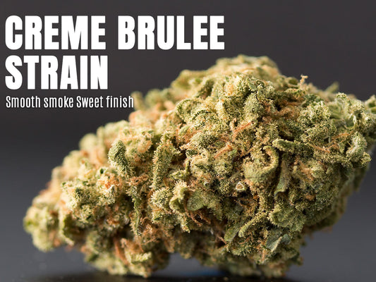 Creme Brulee Strain Review: The Sweet Escape You’ve Been Missing