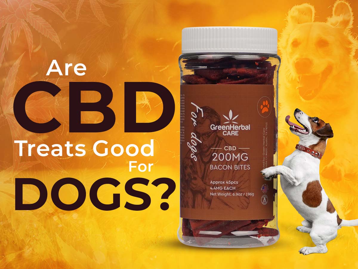 are cbd treats good for dogs