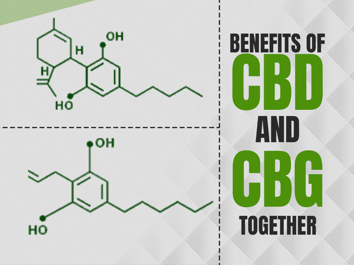 Benefits of CBD and CBG Together: A Powerful Duo