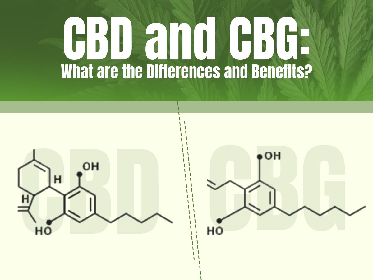 CBD and CBG: What's the Differences and Benefits?