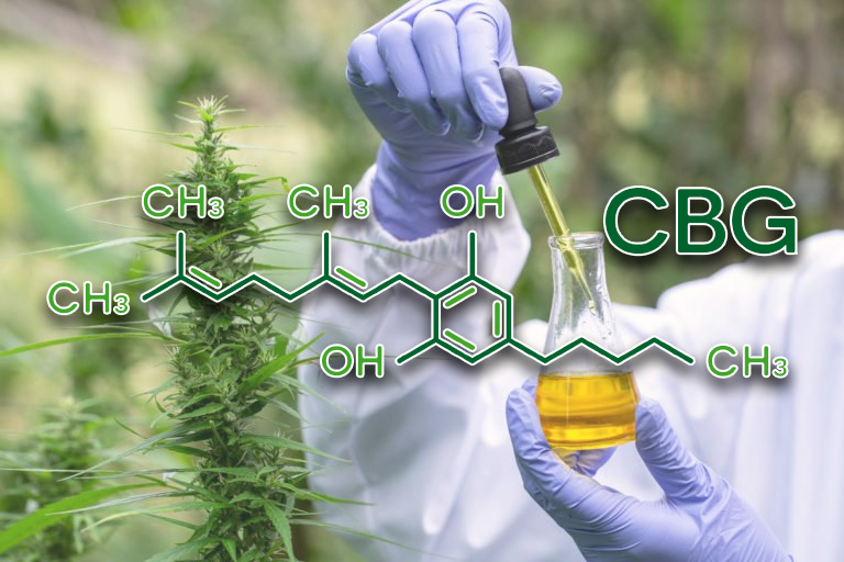 CBG 101