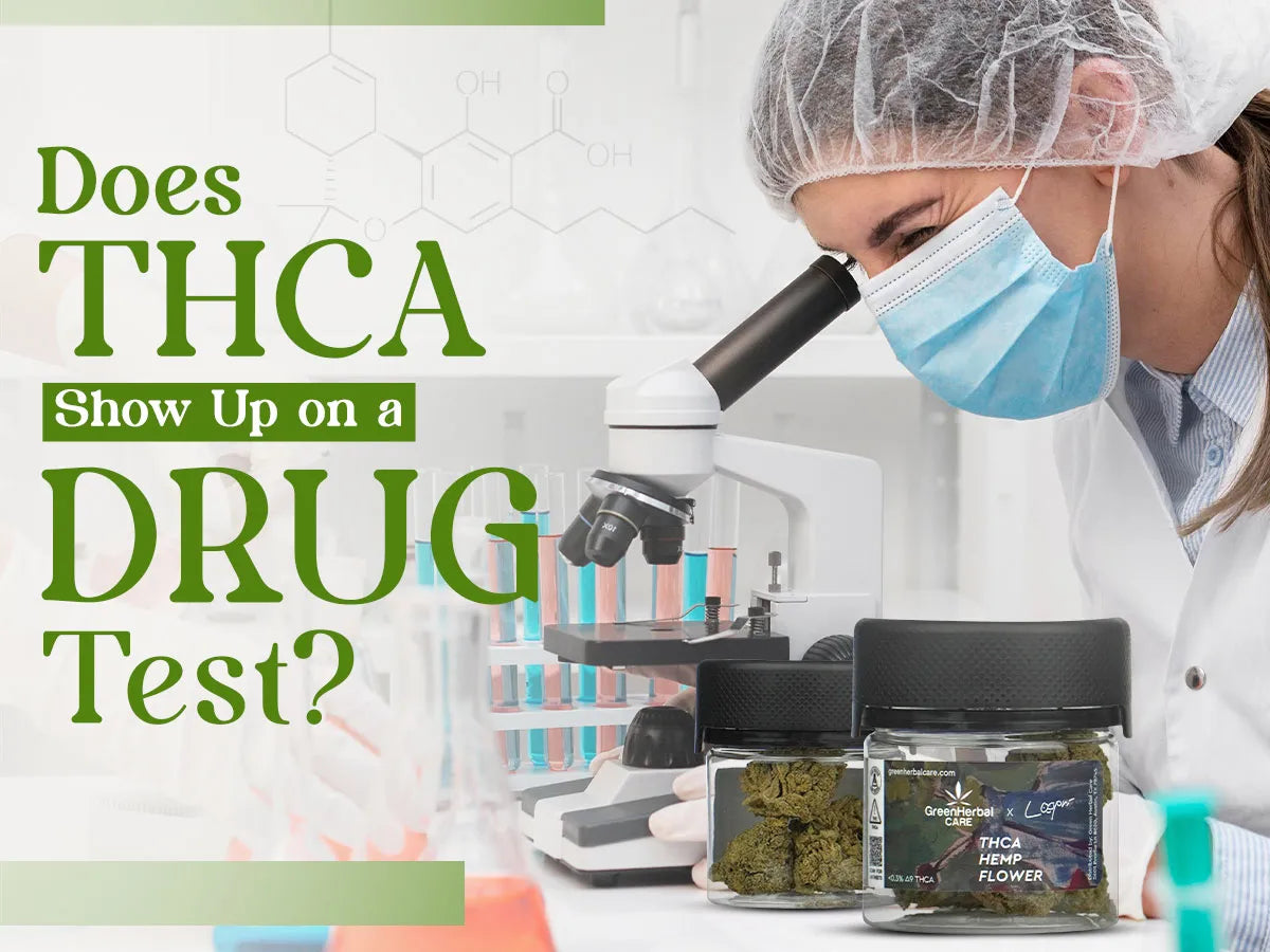 Does THCA Show Up on a Drug Test? Green Herbal Care Does THCA Show Up on a Drug Test? Green Herbal Care