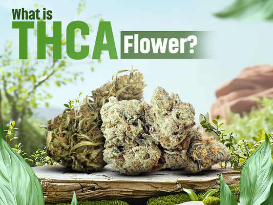 What is THCA Flower: A Guide for Beginners and Experienced Hemp Lovers